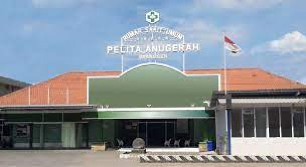 Rumah Sakit Pelita Anugerah